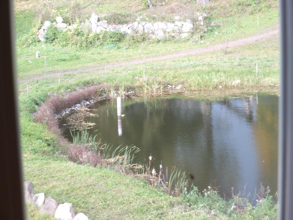 Dwor Klewiny Villa Dış mekan fotoğraf